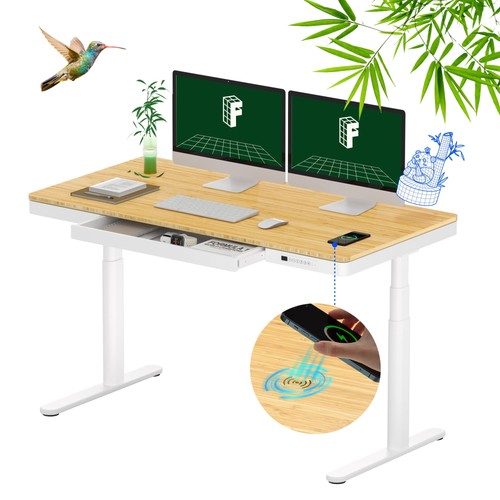 Flexispot standing desk dual - desk,